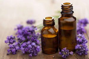 Lavender essential oil